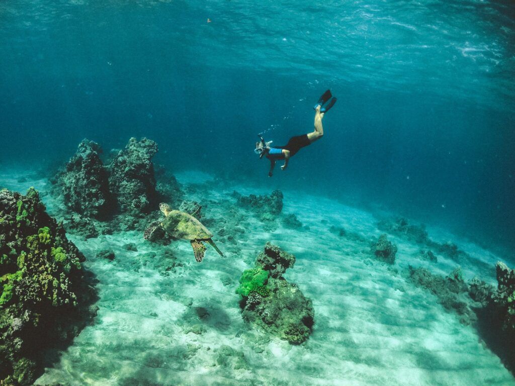 snorkeling vs scuba diving