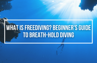 what is freediving